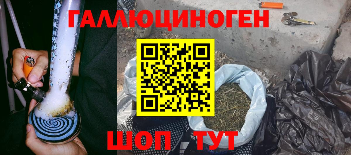 Псилоцибиновые грибы Cubensis Артёмовский