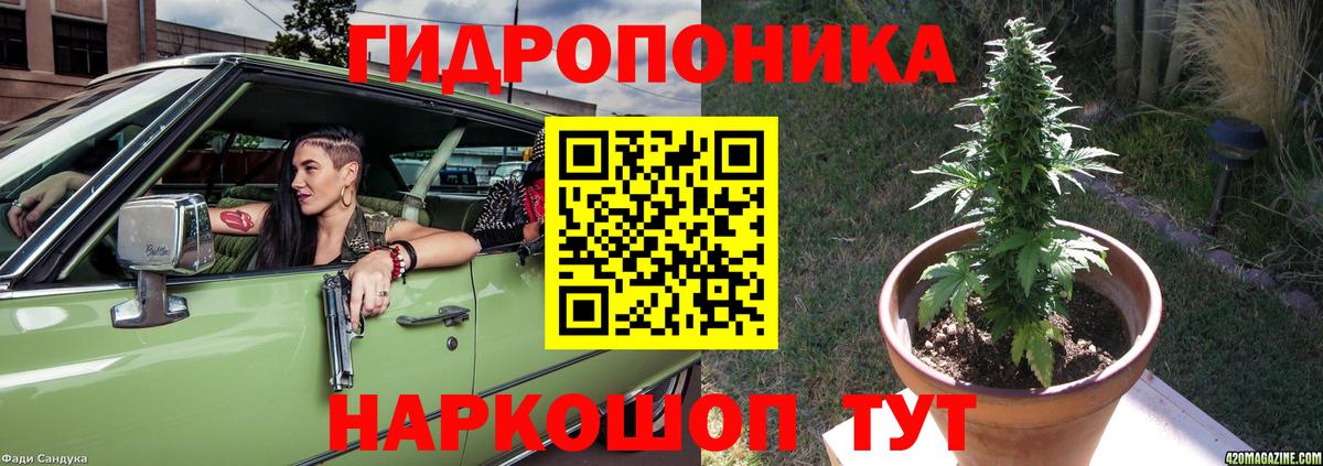 Конопля Ganja Артёмовский